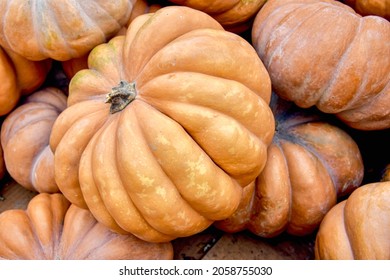  Long Island Cheese Pumpkin Is An Old Heirloom Variety And Its Sweet, Smooth Flesh Is Known To Make Superior Pumpkin Pie.  Closeup.