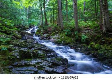 Long Jagged Falls Along The Mountainside Of Mount Madison.