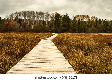 Long Lake Hiking Trail Wisconsin