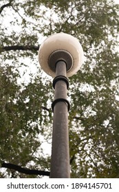 Long Lamppost With A Round Lamp Shade. Lamp Post In The City Park. Lantern On A Background Of Green Trees.