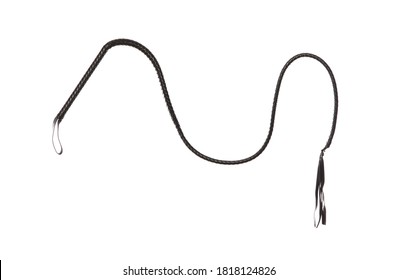 4,939 Long whip Images, Stock Photos & Vectors | Shutterstock