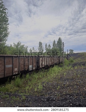 Long line of rusty freight wagons in an abandoned industrial railway area under a dramatic cloudy sky. Freight train surrounded by nature with copy space, suitable for transportation, industry and logistics themes.