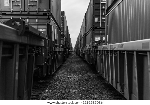 A Long Line of\
Train Cars in Black and White