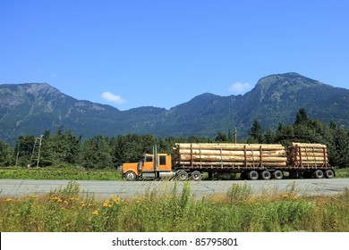 Long Logging Truck