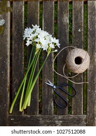Long narcissi stems on a wooden bench with a ball of twine and traditional flower scissors