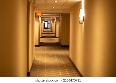 A Long Narrow Hallway Of A Hotel With A Red Exit Sign Light Sconce Lights And Cream Colored Walls. The Carpet On The Floor Is Green And Beige With A Pattern. The Low Ceiling Has White Tiles. 