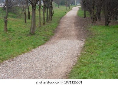Long Path among Trees with Thin Trunk and Green Field.