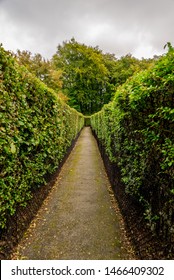 A Long Path To The Exit Or Dead End Inside Hazzlehead Hedge Maze, Aberdeen, Scotland