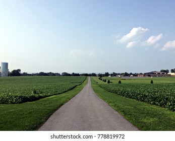 Long Paved Driveway Between Fields