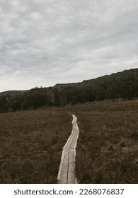 The long paved path to   