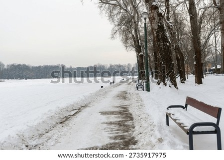 Long pedestrian path cleared through fresh snow along a frozen lake, lined with benches, street lamps, and leafless trees. Calm winter city park walkway for walking, jogging, and outdoor relaxation in cold weather.