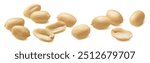 Long peeled peanut group isolated on white background. Package design element with clipping path