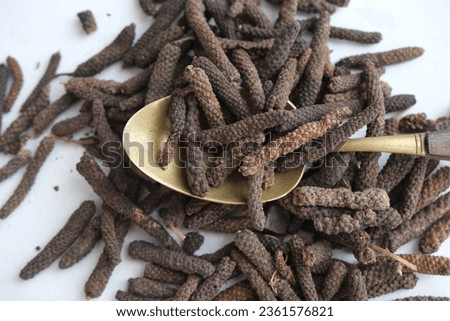 Long pepper on a white background