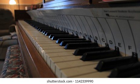 Piano Bench Images Stock Photos Vectors Shutterstock