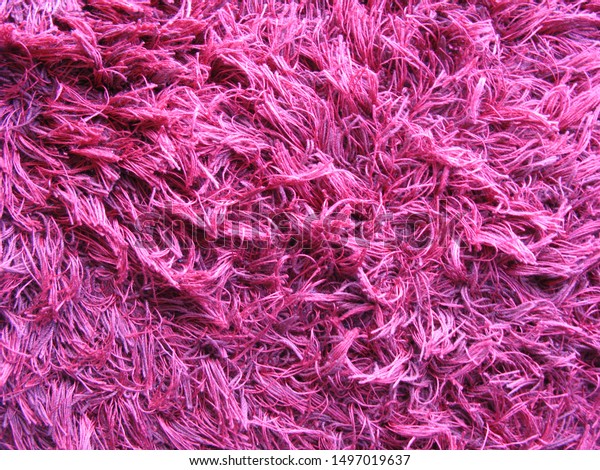 Long Pile Carpet Texture Extreme Close Stock Photo 1497019637 ...