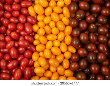 Long Plum Tomato Texture Background. Fresh Small Red, Brown And Yellow Cherry Tomatoes Pattern, Mini Organic Cocktail Tomate Mix Wallpaper Top View