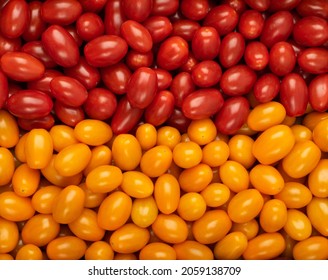 Long Plum Tomato Texture Background. Fresh Small Red And Yellow Cherry Tomatoes Pattern, Mini Organic Cocktail Tomate Mix Wallpaper Top View