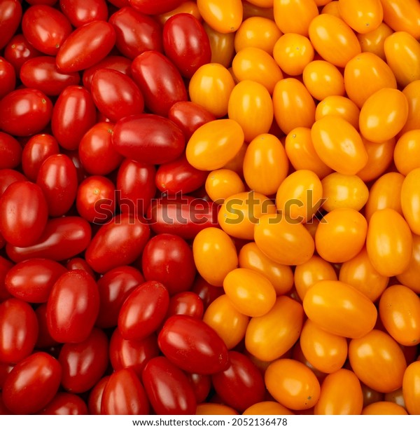 Long plum tomato texture background. Fresh small red
and yellow cherry tomatoes pattern, mini organic cocktail tomate
mix wallpaper top view