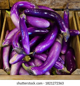 Long Purple Eggplant Hd Stock Images Shutterstock