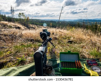 Long Range Rifle Shooting In The Woods