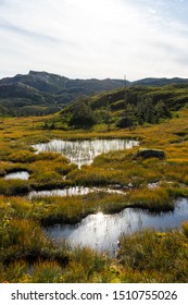 Long Range Traverse In Gros Morne National Park, Newfoundland, Canada