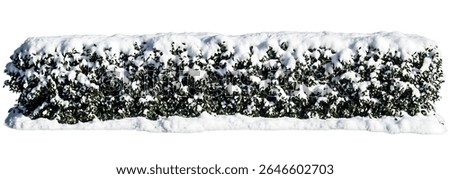 Long rectangular hedge completely blanketed with fresh white snow, creating a stark winter landscape element with dark foliage peeking through the frozen covering