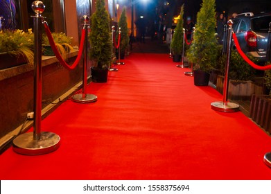 1,462 Red carpet line art isolated Images, Stock Photos & Vectors ...