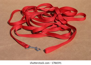 Long Red Dog Leash