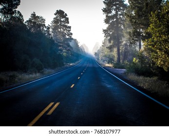 The Long Road