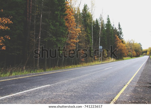 Long road along the autumn forest. The Golden glow\
of autumn