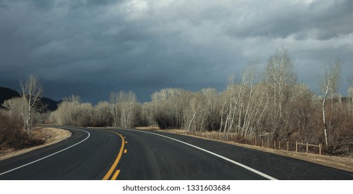 Long Road with Bare Trees and Dramatic Sky