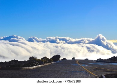 The Long Road Down The Mountain. Feels Like You've Made It To Heaven When You're 10000 Ft Above Sea Level.