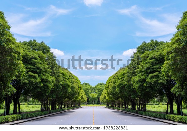 Long road with green\
grass and trees and background blue sky with white clouds. Long\
road in green field