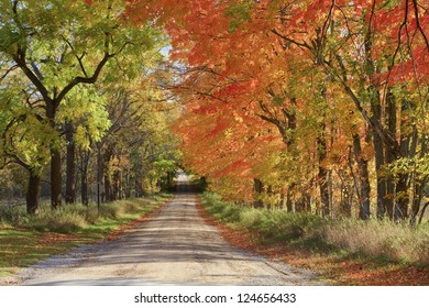 Long Road Home -- A Dirt Road During The Fall Color Season At Sleeping Bear Dunes National Lakeshore.