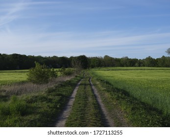 A long road through fields