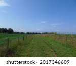 Long road through the open fields
