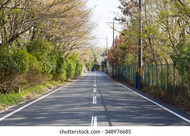 Long road with tree alongside