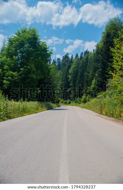 a long road and woodland, blue sky, white clouds,\
asphalt road\
