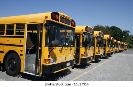 Long Row Of School Buses