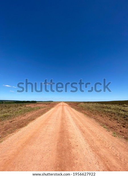 Long rural road with sandy soil dividing two\
farms in Mato Grosso do Sul,\
Brazil