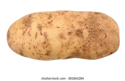 A Long Russet Potato Isolated