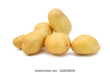 A Long Russet Potato On White