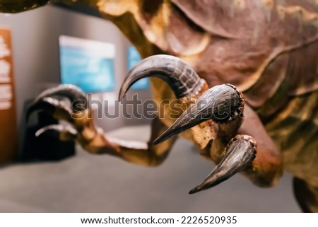 Long and sharp claws of a prehistoric dinosaur. The concept of predator and prey