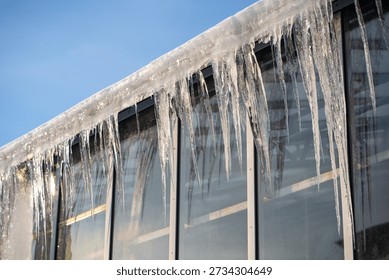 Long sharp icicles hanging outside from roof at industrial glasshouse, high risk warning for getting physical trauma or damaging glass window walls of greenhouse, dangerous seasonal iced formations.
