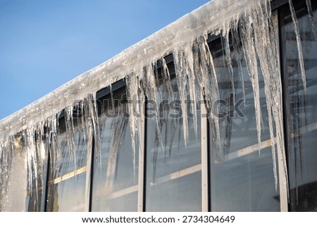 Long sharp icicles hanging outside from roof at industrial glasshouse, high risk warning for getting physical trauma or damaging glass window walls of greenhouse, dangerous seasonal iced formations.