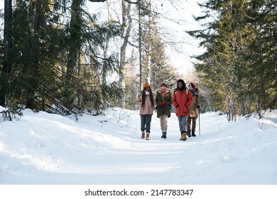 Long shot of multi-ethnic group of young men and women enjoying hiking in mountains on sunny winter day - Shutterstock ID 2147783347