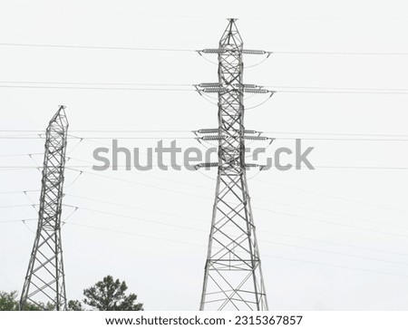 Long, slender cables strung between tall, metal or wooden poles, carrying electric current across vast landscapes,
