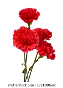 Long Stem Carnations Gift On White Stock Photo 1785850787 | Shutterstock