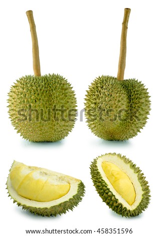 Durian - Kraliyet Meyvesi Durian - Kraliyet Meyvesi