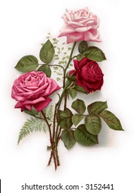 Long stemmed roses - circa 1890 Mother's Day greeting card illustration